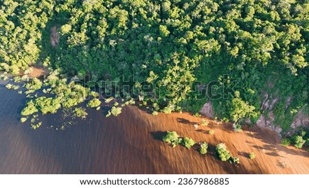 Floating restaurants of Amazon River at Amazon Forest. Manaus Brazil. Nature wild life landscape. Green background. Forest trees at Amazonas state. Tourism attraction. Travel destination.