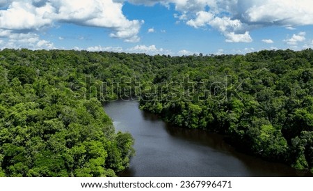 Floating restaurants of Amazon River at Amazon Forest. Manaus Brazil. Nature wild life landscape. Green background. Forest trees at Amazonas state. Tourism attraction. Travel destination.