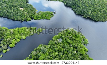 Floating restaurants of Amazon River at Amazon Forest. Manaus Brazil. Nature wild life landscape. Green background. Forest trees at Amazonas state. Tourism attraction. Travel destination.
