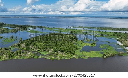 Floating restaurants of Amazon River at Amazon Forest. Manaus Brazil. Nature wild life landscape. Green background. Forest trees at Amazonas state. Tourism attraction. Travel destination.