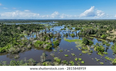 Floating restaurants of Amazon River at Amazon Forest. Manaus Brazil. Nature wild life landscape. Green background. Forest trees at Amazonas state. Tourism attraction. Travel destination.