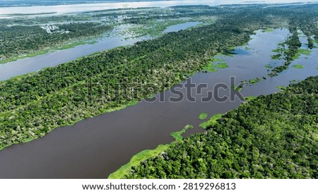 Floating restaurants of Amazon River at Amazon Forest. Manaus Brazil. Nature wild life landscape. Green background. Forest trees at Amazonas state. Tourism attraction. Travel destination.