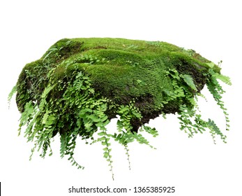 Floating rock island covered by green moss, grass and fern, isolated on white background. - Shutterstock ID 1365385925