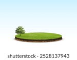 Floating slice of land with green grass surface and soil section with tree. land grass texture and empty grass field isolated. 3d rendered, isolated grass field