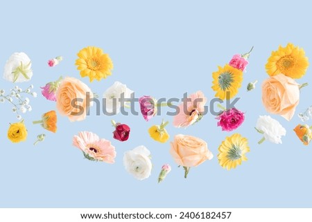Floating Spring Flowers on a blue background. Background suitable for Spring, Summer, Mother's Day, International Women's Day, Weddings, and more uses.