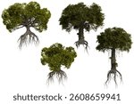 Floating trees with extensive root systems. Lush foliage and vibrant green tones