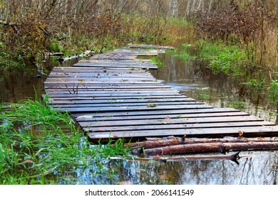 Floating wooden bridge in the forest, flood time. Selective focus. High quality photo