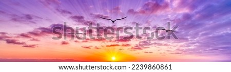 A Flock Bird Silhouettes Flying Towards The Colorful Cloudscape Sunset In Banner Image Format