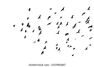 Flock Birds Silhouette Vector Stock Vector (Royalty Free) 613410806