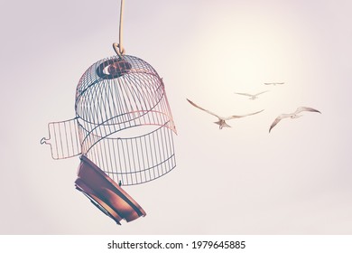 A flock of birds broke the cage and flew into the sky. The desire to change life concept