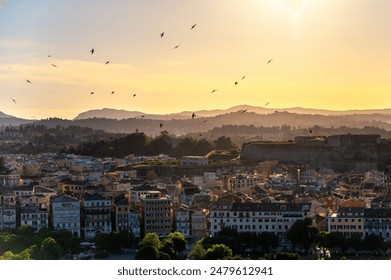 A flock of birds flies over the rooftops of Corfu Town's old town at sunset - Powered by Shutterstock