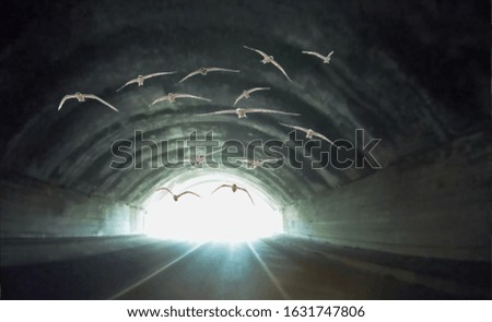 A flock of birds fly into the tunnel. Counter light. Surreal landscape. Collage.
