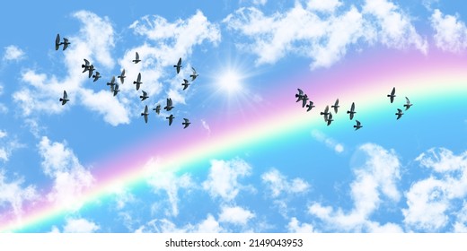 flock of birds flying in the blue sky. panoramic sky view. rainbow and sunbeams among the clouds. Can be used as ceiling decoration and background