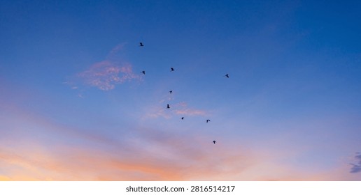 Flock of birds flying in the dramatic sunset sky,A flock of birds flying gracefully across a colorful gradient sky during sunset, creating a serene and peaceful atmosphere symbolizing freedom, nature, and migration.