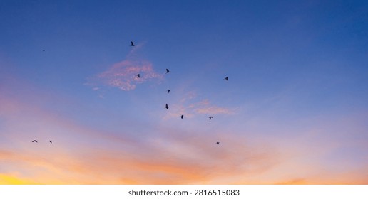 Flock of birds flying in the dramatic sunset sky,A flock of birds flying gracefully across a colorful gradient sky during sunset, creating a serene and peaceful atmosphere symbolizing freedom, nature, and migration.