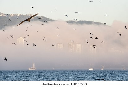 Flock Of Birds Flying In Front Of City Skyline Covered By Fog