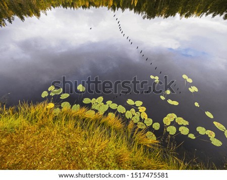 Similar – lake Environment Nature