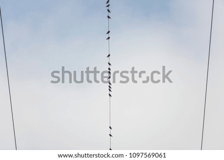 Similar – Image, Stock Photo On the line Harmonious