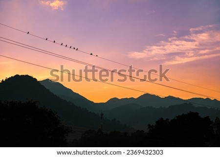 Flock of birds sitting on a power line with sunset and mountain in the background.