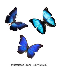 Flock Blue Butterflies Isolated On White Stock Photo (Edit Now) 1399903193