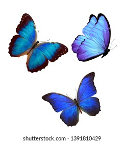 Flock Blue Butterflies Isolated On White Stock Photo 1391810429 ...