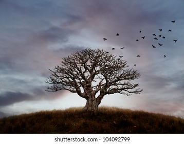 A flock of crows flying away from the silhouette of a lone barren tree on a hilltop against a candy colored sunset sky. - Powered by Shutterstock