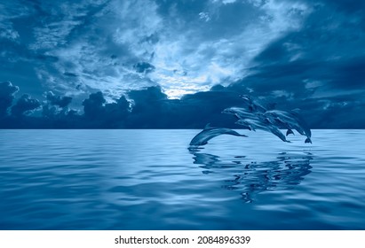 A Flock Of Dolphins Jumping Above The Clouds Moon Light