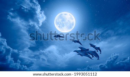 A flock of dolphins jumping above the clouds with full blue moon 