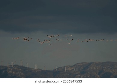 A flock of flamingos flying over a wind turbine farm on a mountain - Powered by Shutterstock