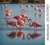 A flock of flamingos wading gracefully in shallow waters, their vibrant pink feathers reflecting in the calm lagoon beneath a bright sun.