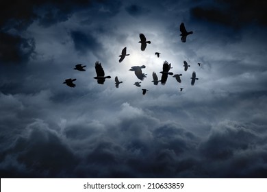 Flock of flying ravens, crows in dark moody sky