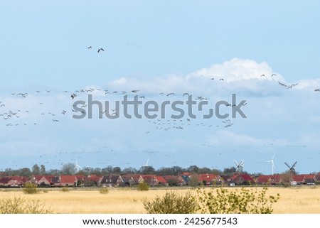 A flock of greylag geese flies over Greetsiel against a cloudy sky