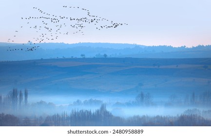 Flock of migration birds flying in V formation over foggy autumn forest - Powered by Shutterstock