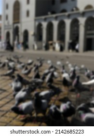 Flock of pigeons eating in the courtyard of the mosque in Medina in a blurry view