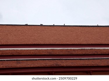 A flock of pigeons perched on the weathered red tile roof of an ancient temple. - Powered by Shutterstock