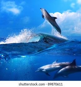 a flock of playful dolphins swimming underwater and one leaping out from big sea surfing wave