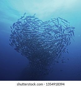 flock of sea fish in the shape of a heart / love concept, planet ocean, fish in the sea