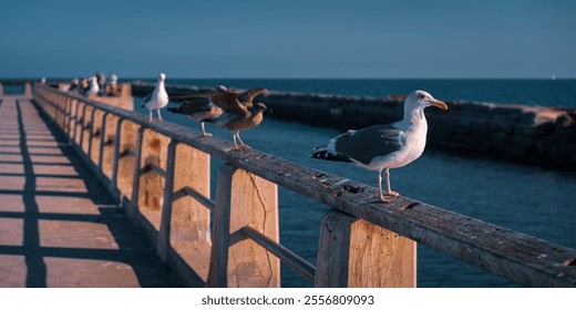 A flock of seagulls atop a wooden fence overlooking a picturesque ocean view from a pier, Long Beach, California - Powered by Shutterstock