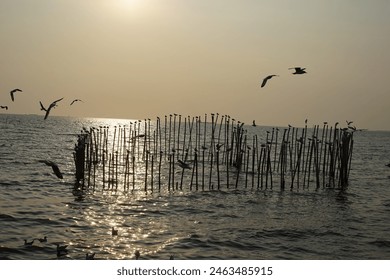 A flock of seagulls flying over a weathered wooden fence in the ocean - Powered by Shutterstock