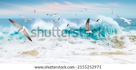 A flock of seagulls over the waves. Ocean storm in Mexico. Baja California Sur.