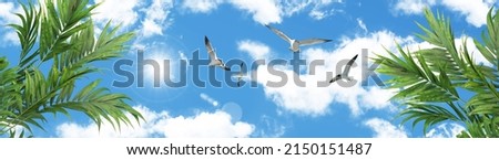 flock of seagulls soaring in sunny blue sky among green tree leaves. panoramic sky view. 3d stretch ceiling decoration image.