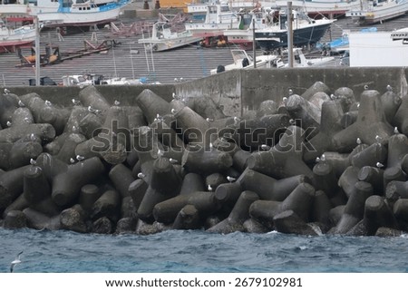 A flock of seagulls and wave-breaking blocks