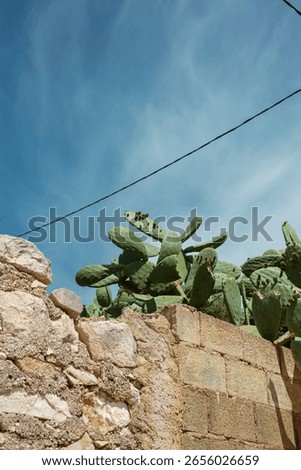 Flock of sheep blocking mountain road viewed from car dashboard during Greek island road trip