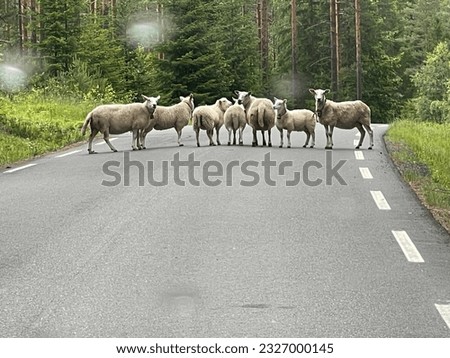Image, Stock Photo road block Roadblock