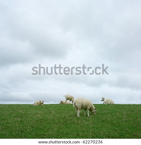 Similar – cloudy lawnmowers Sheep