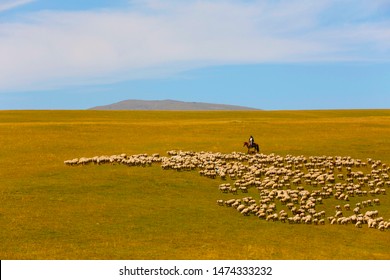 A A Flock Of Sheep In The Middle Of The Kazakh Steppe 