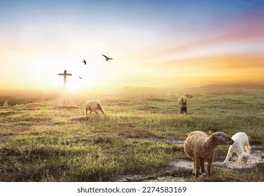 Flock of sheep on cross of Jesus christ and sunset background
