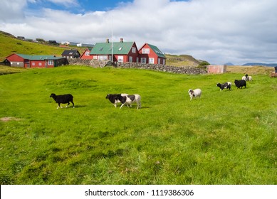 indbildskhed Tag et bad sagging Denmark farm Images, Stock Photos & Vectors | Shutterstock