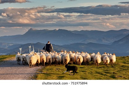 Flock of sheep with shepherd and dog in Oiz, Basque Country - Shutterstock ID 751975894