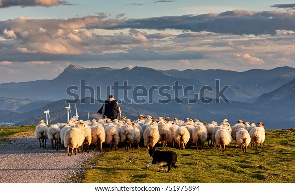 Flock of sheep with shepherd and dog in Oiz,\
Basque Country